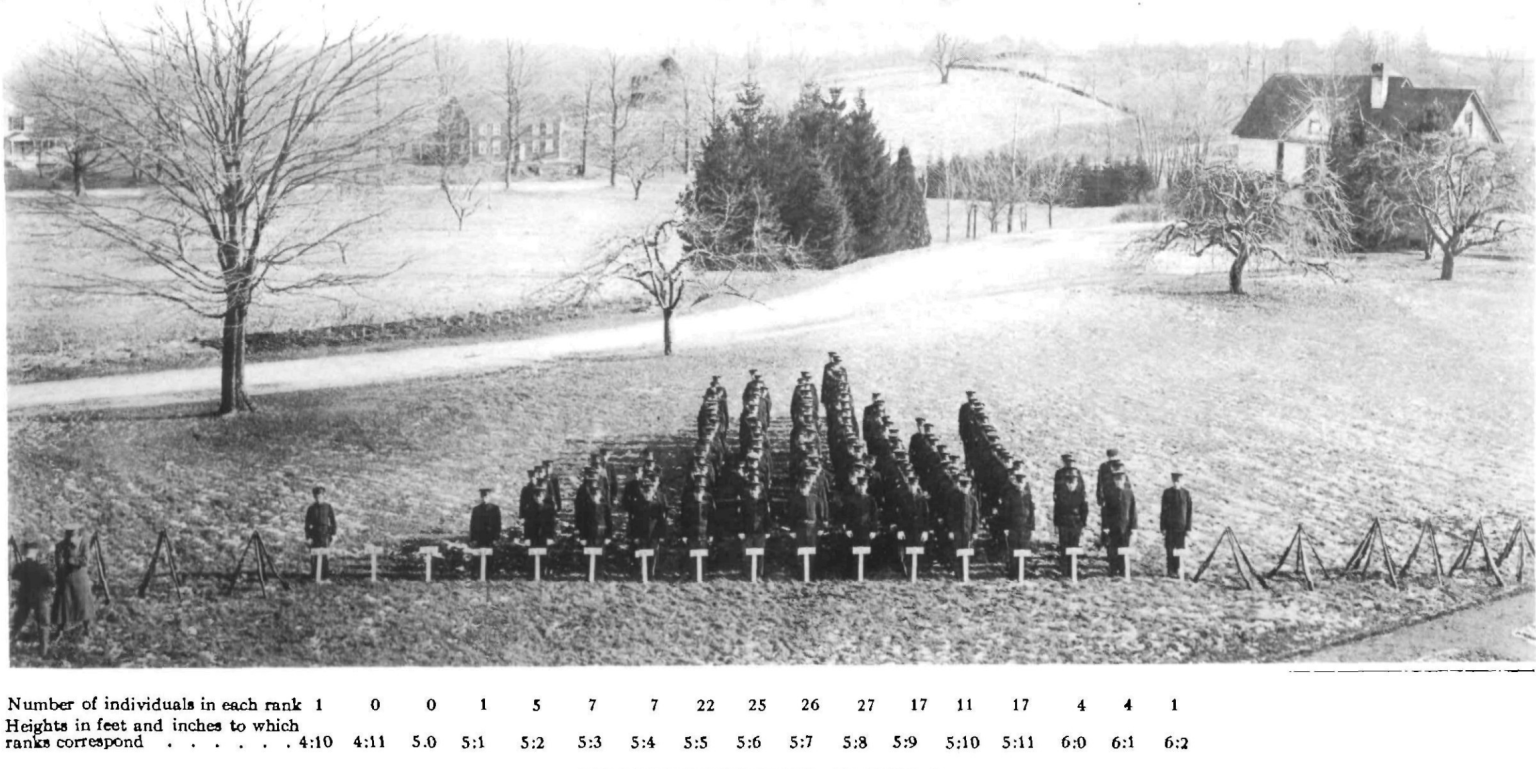 The Genetics of Height | Harvard Medicine Magazine